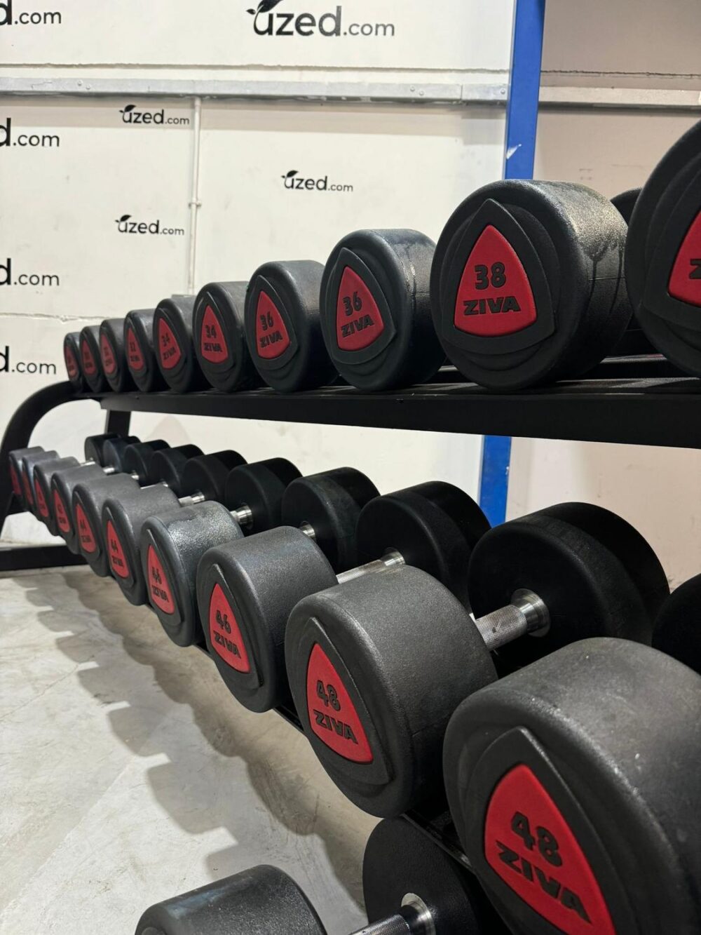 Ziva Dumbbell Set 24-42kg - Image 2