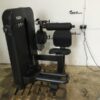 Technogym Artis Lower Back Black