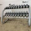 Technogym Chrome 1-10kg Dumbbell Set