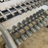 Technogym Chrome 1-10kg Dumbbell Set - Image 3