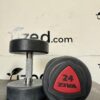 Ziva ZVO Urethane Dumbbell Pair 24KG - Image 2