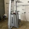 Precor Icarian Dip / Chin Assist