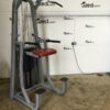 Precor Icarian Dip / Chin Assist - Image 3