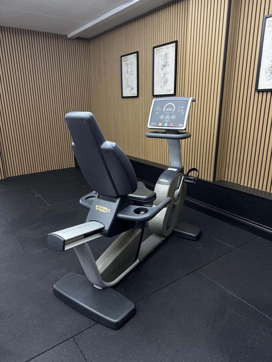 Technogym Excite+ NEW RECLINE EXCITE 500 SP (DAD24L) Silver