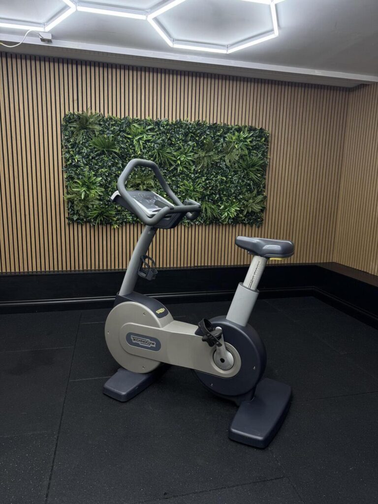 Technogym IFI Excite+ (CAC24L) NEW BIKE EXCITE 500 SP LED Silver