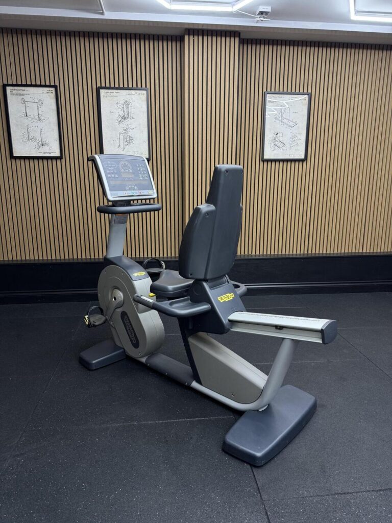 Technogym IFI Excite+ (CAD34L) NEW RECLINE EXCITE 700 SP Silver