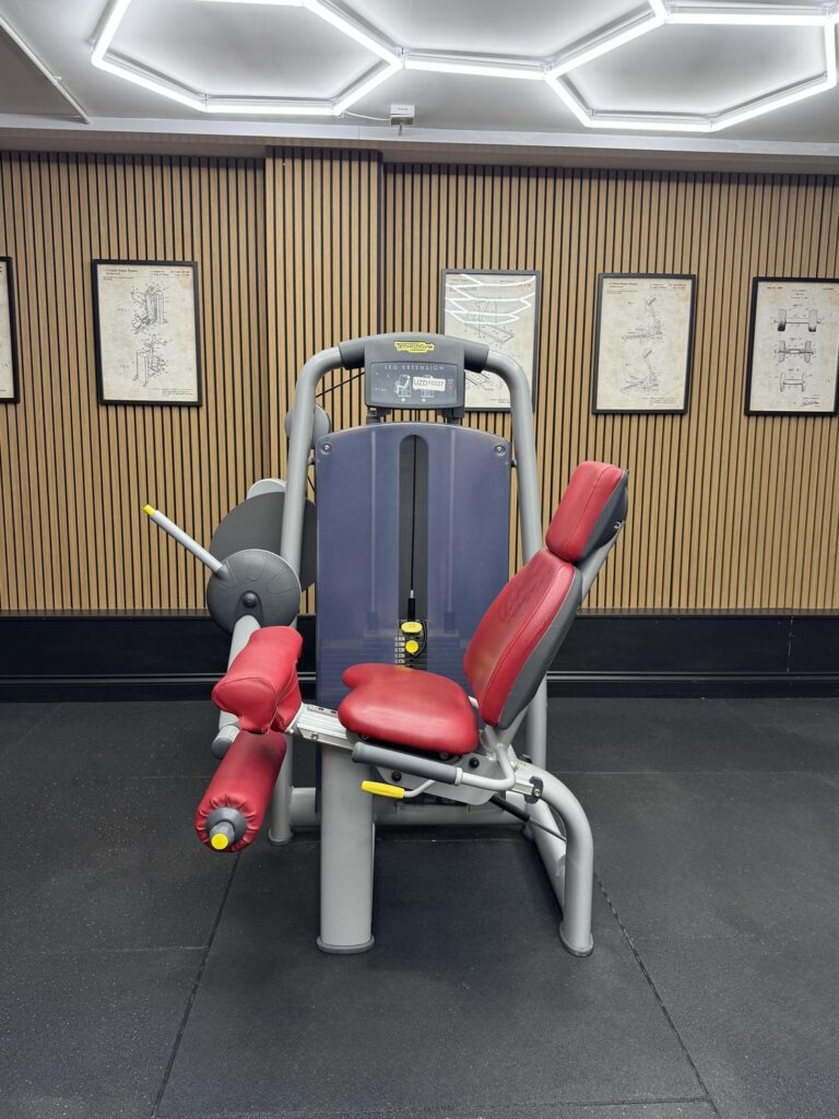 Technogym Selection Personal Leg Extension (M991) Silver