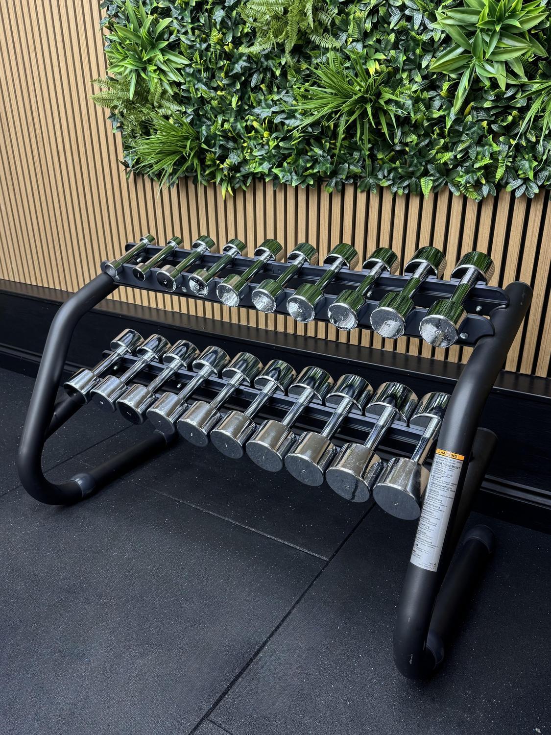 Technogym Chrome Dumbbell Set 10 pairs 1-10KG