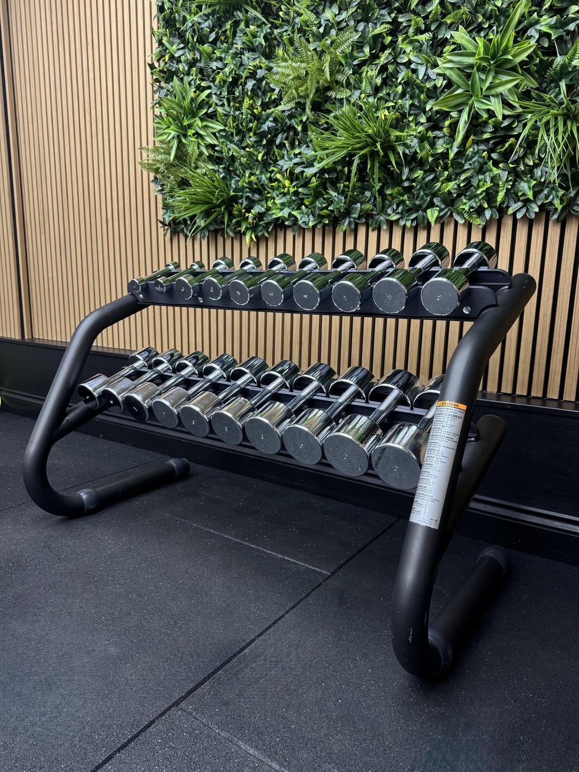 Technogym Chrome Dumbbell Set 10 pairs 1-10KG - Image 5