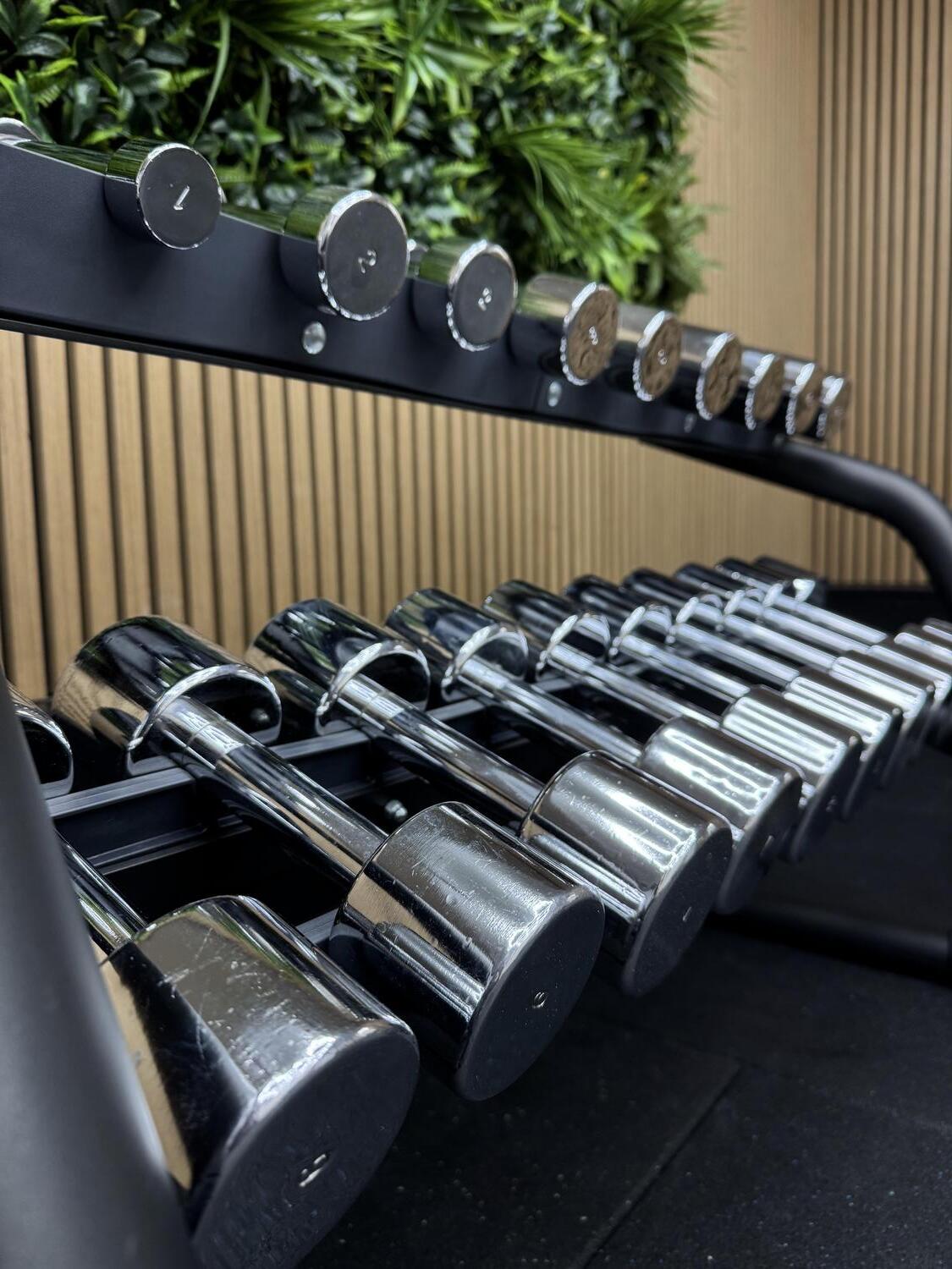 Technogym Chrome Dumbbell Set 10 pairs 1-10KG - Image 2