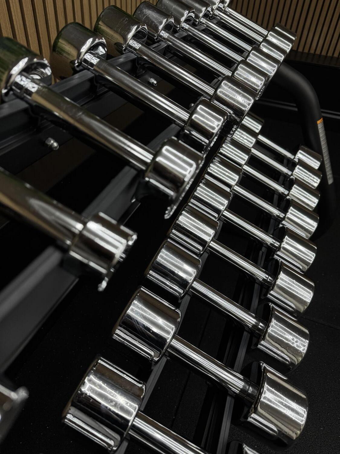 Technogym Chrome Dumbbell Set 10 pairs 1-10KG - Image 3