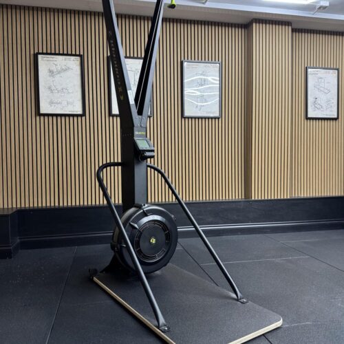 Concept2 Ski Erg PM5 - Black