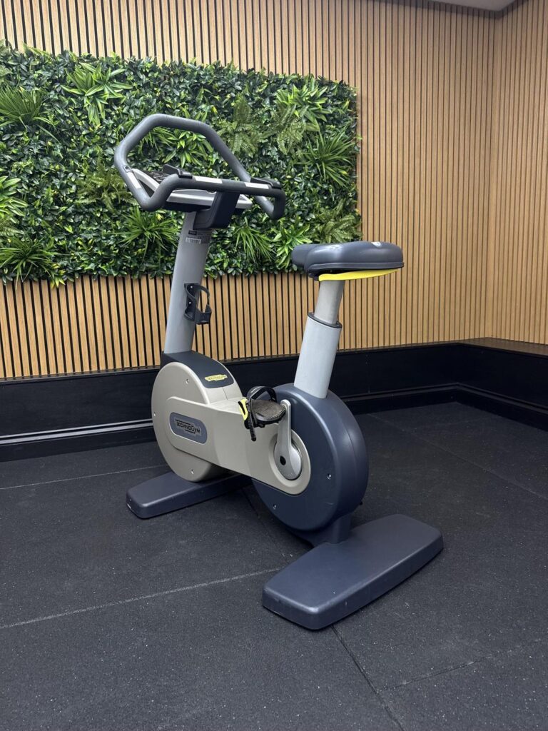 Technogym Excite+ NEW BIKE EXCITE 700 SP (DAC34L) Silver