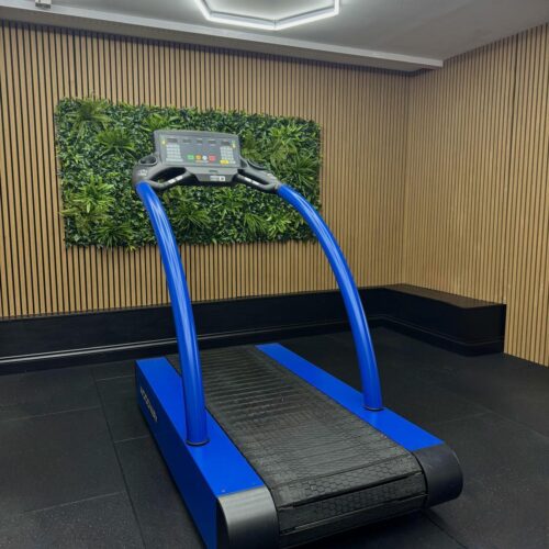 Woodway 4Front Treadmill - QuickSet LED - EnzianBlau (5010)
