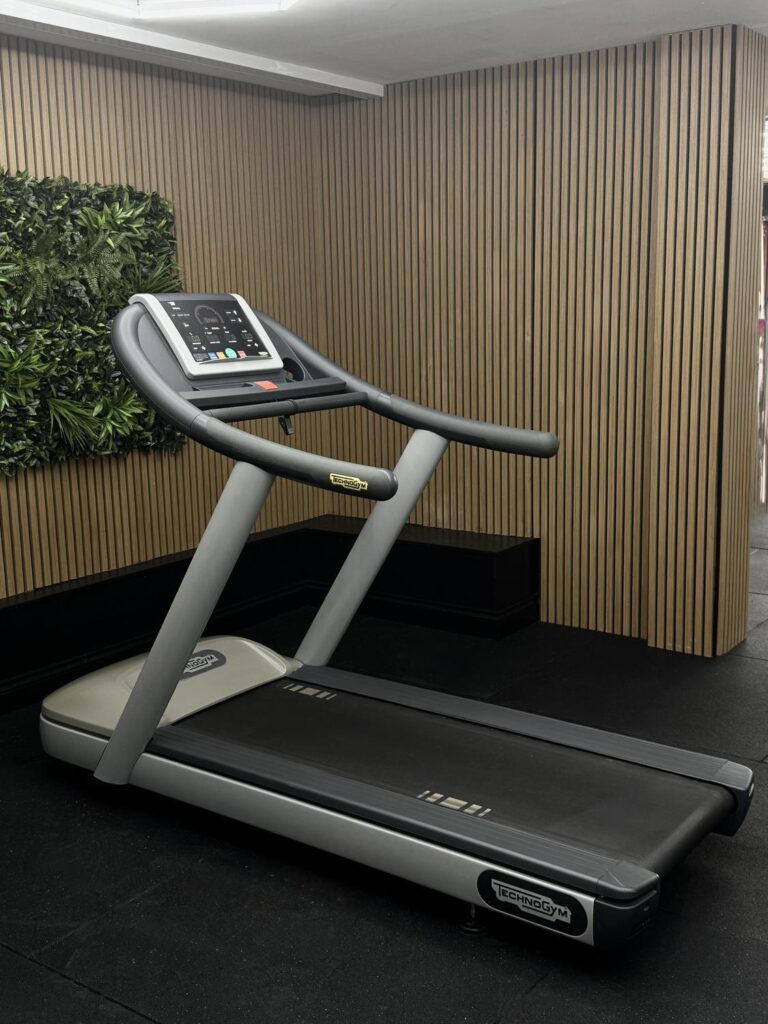 Technogym Excite+ JOG NOW 500 LED (DAK2EL) Silver