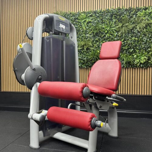Technogym Selection Personal Leg Curl (M990) Silver