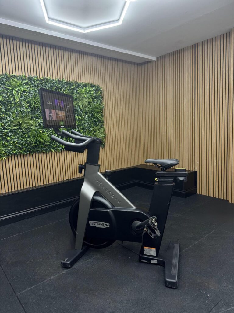 Technogym Bike Live (D93TNLS) Swivel Screen Dark Pearl Grey