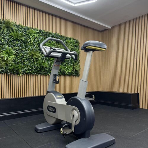 Technogym Excite+ NEW BIKE 700 UNITY 2 (DAC33V) Silver
