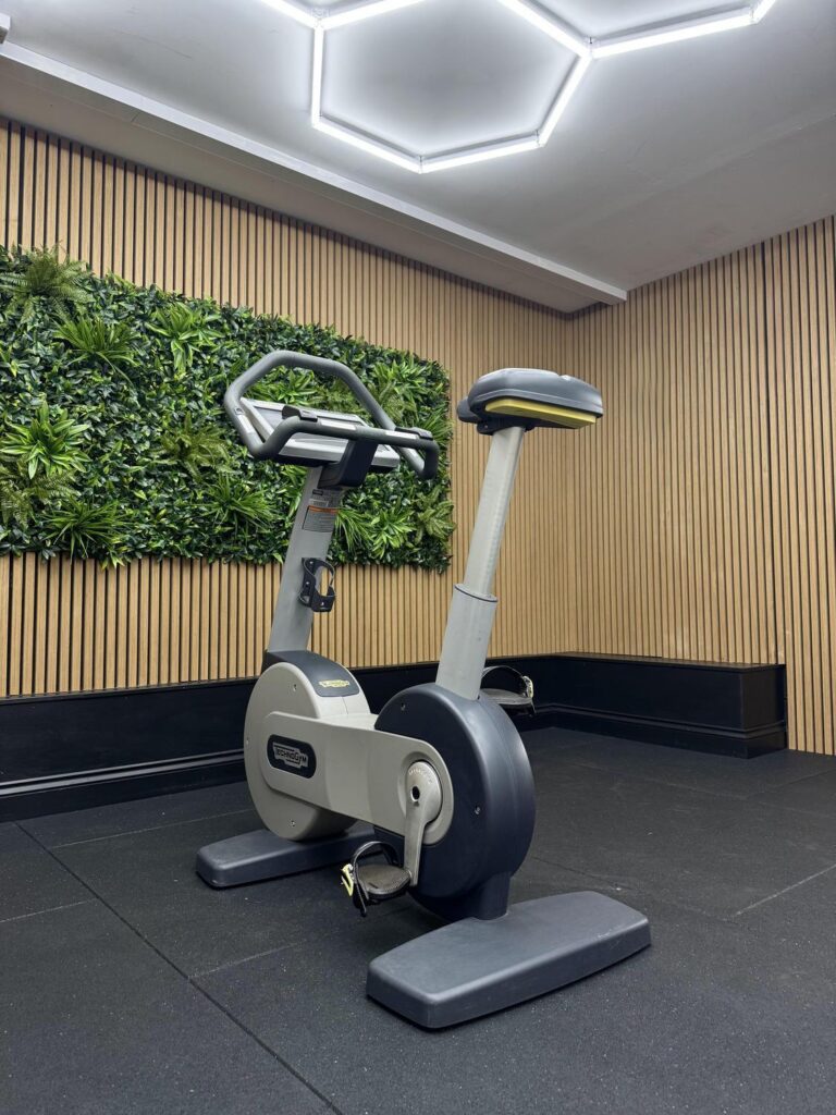 Technogym Excite+ NEW BIKE 700 UNITY 2 (DAC33V) Silver