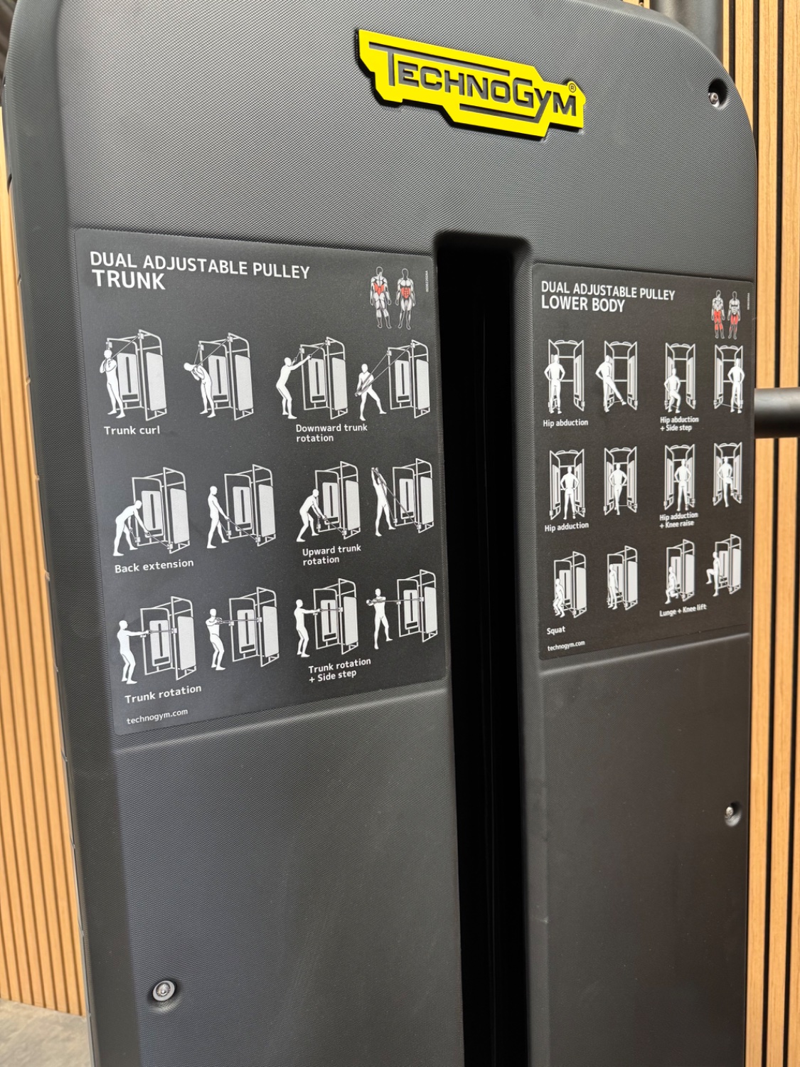 Technogym Element+ Dual Adjustable Pulley Fitness (MB44) Black Black - Image 6