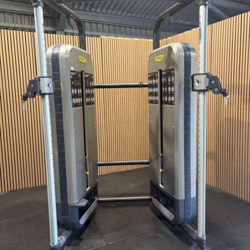 Technogym Element+ Dual Adjustable Pulley (MB43) Silver Flint Grey