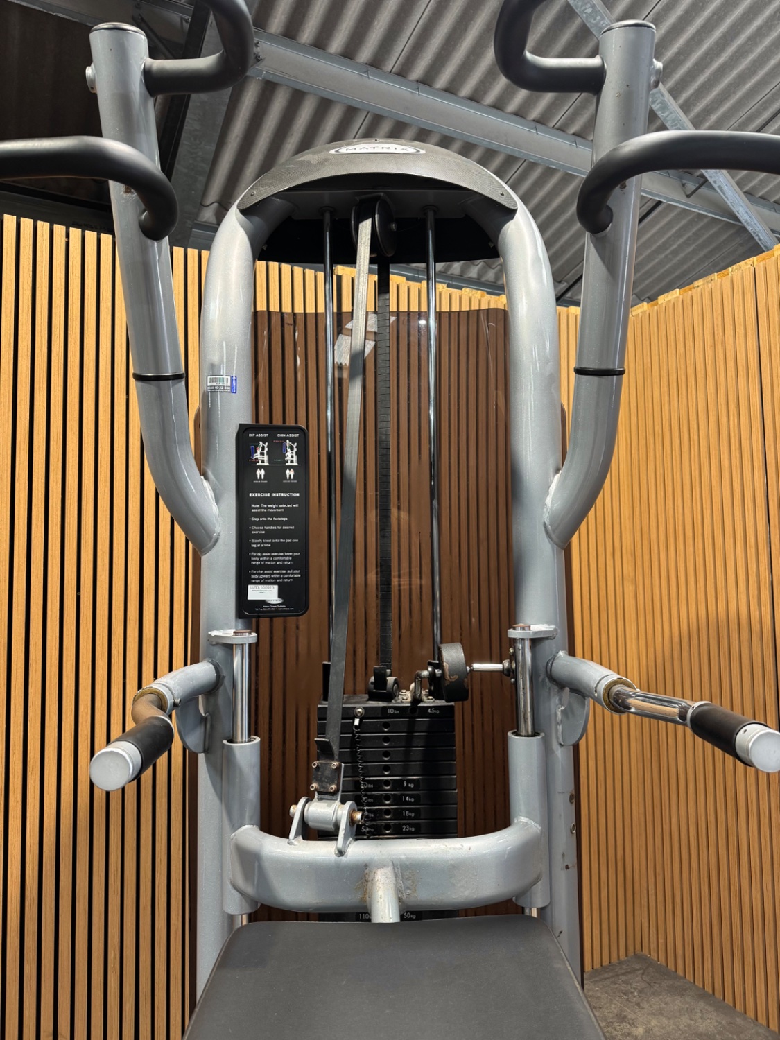 Matrix Versa Chin/Dip Assist - Image 6