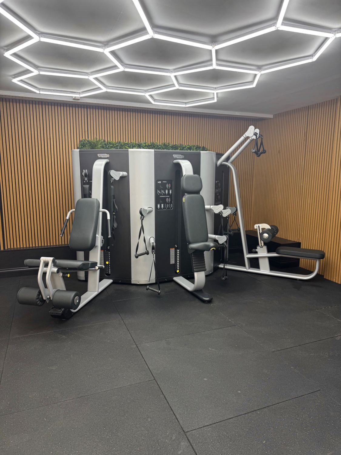 Technogym Plurima (MF30) Wall Core/Leg Extension and Press/Overhead Press and High/Low Pull Silver