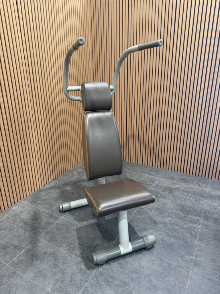 Technogym Easy Line (MC15) Shoulder Press/Lat Pulldown Champagne