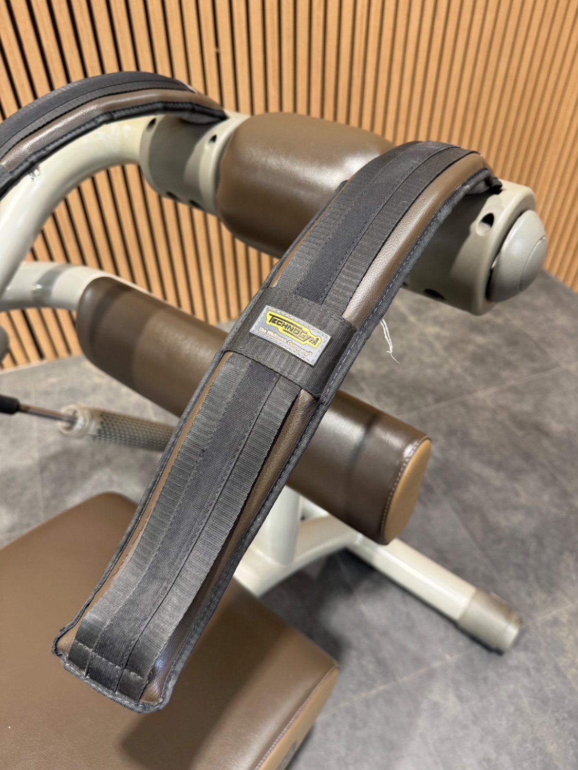 Technogym Easy Line (MC65) Abdominal/Lower Back Champagne - Image 5