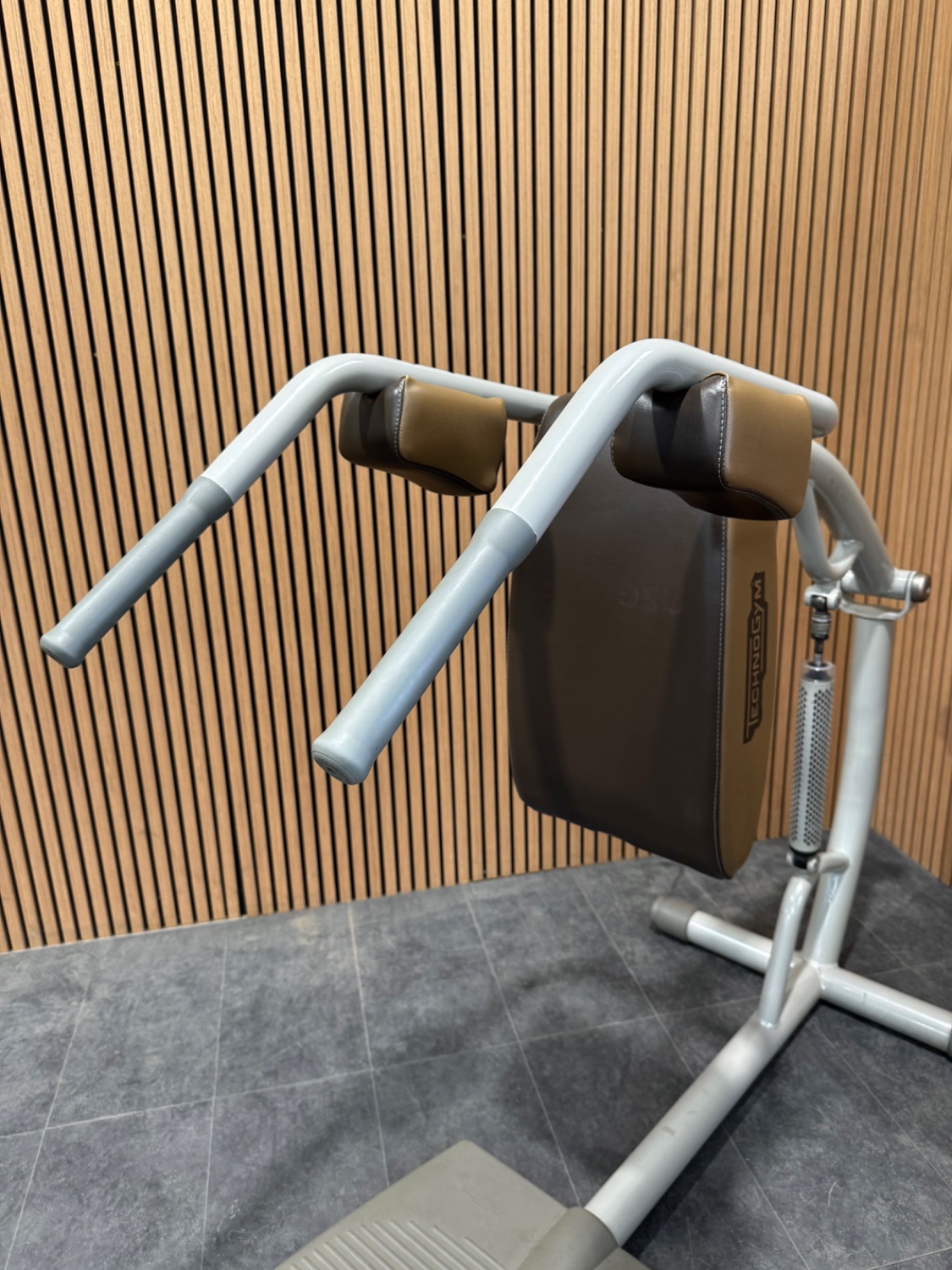 Technogym Easy Line (MC01) Squat Champagne - Image 3