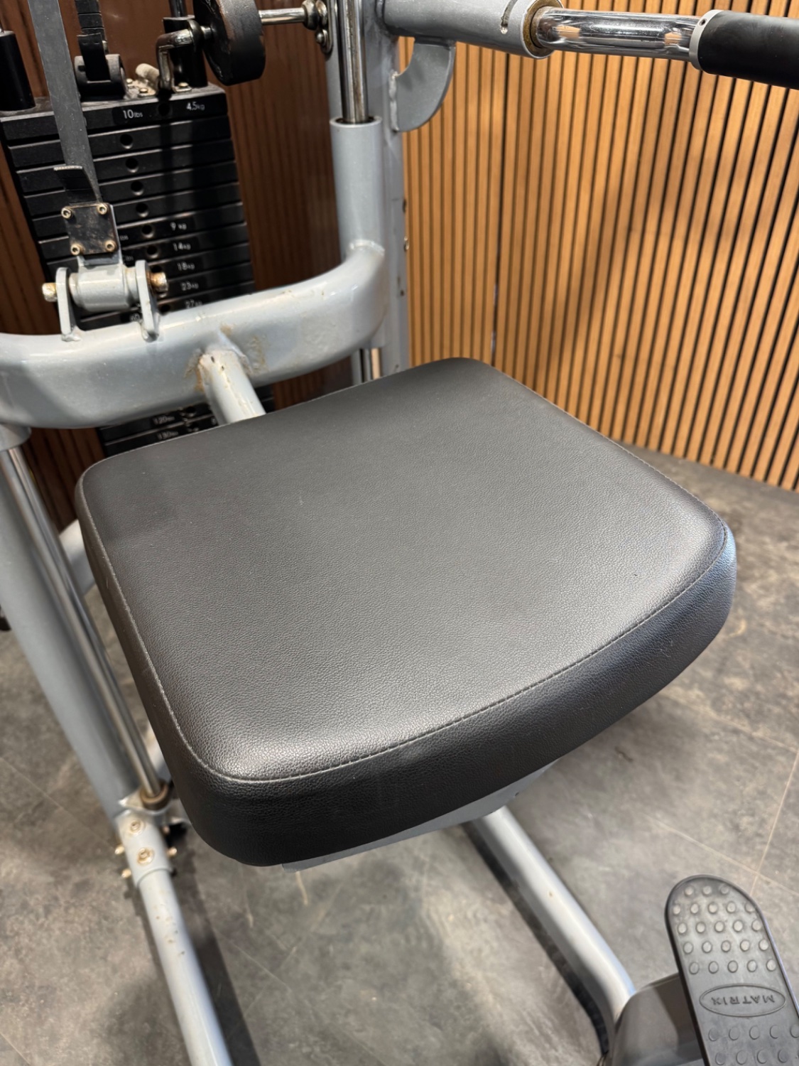 Matrix Versa Chin/Dip Assist - Image 3