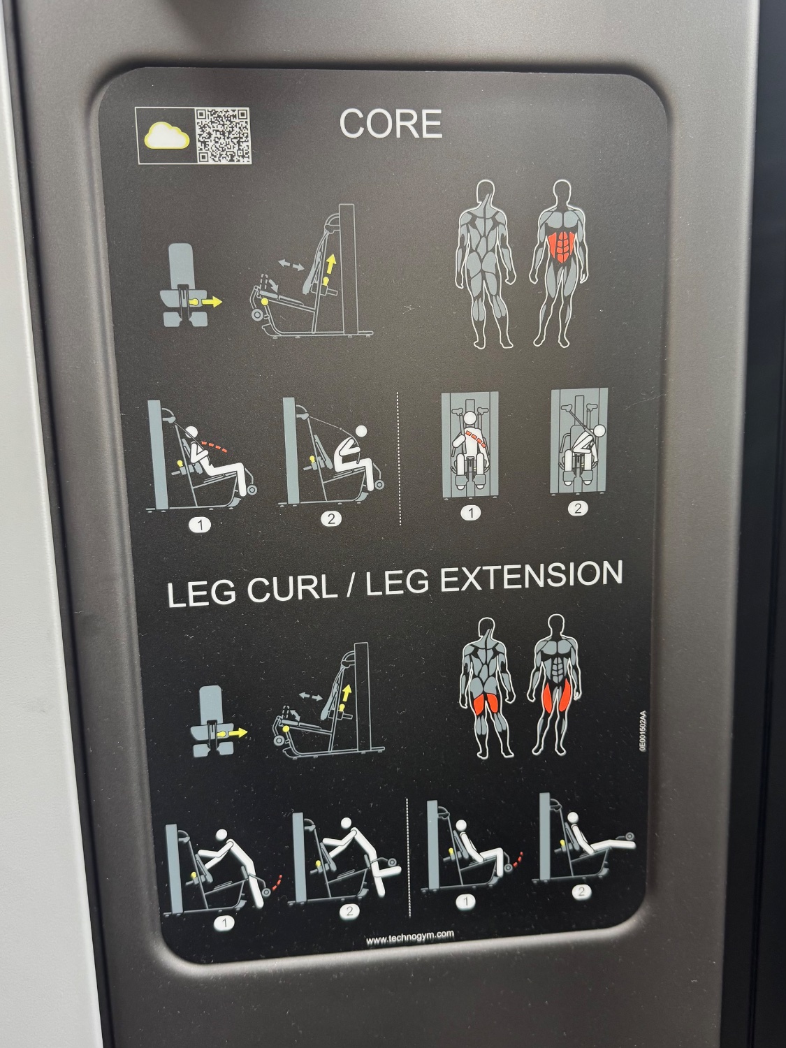 Technogym Plurima (MF30) Wall Core/Leg Extension and Press/Overhead Press and High/Low Pull Silver - Image 10