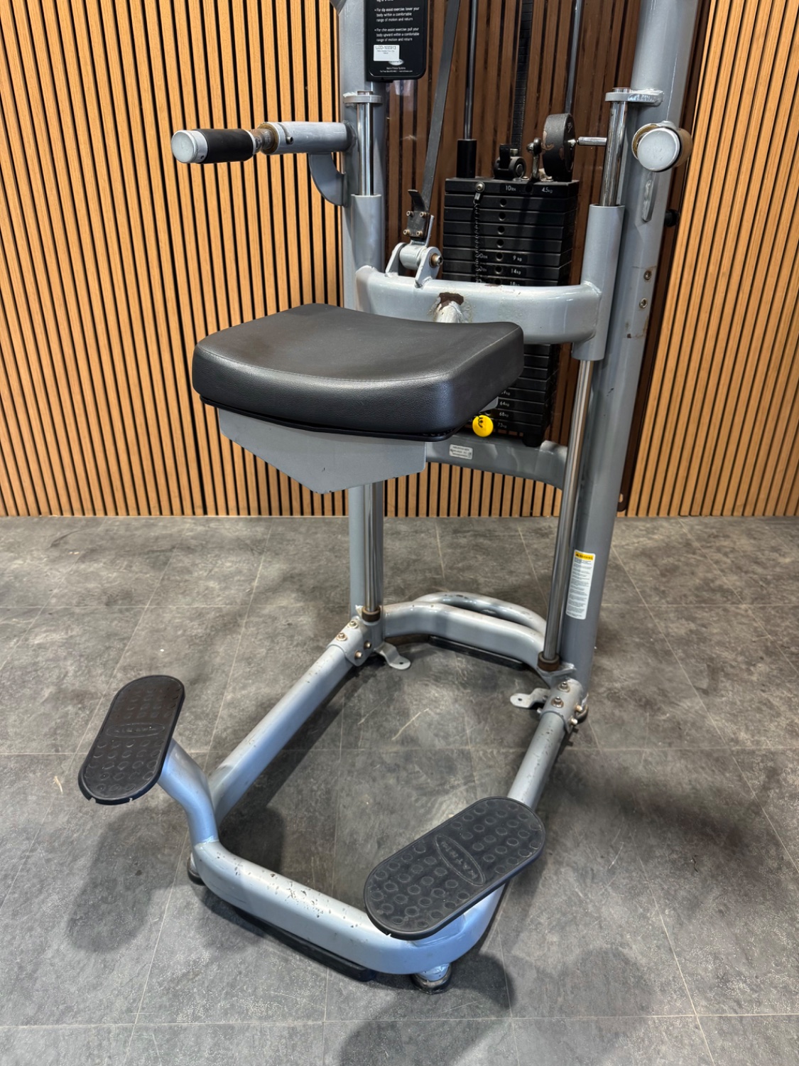 Matrix Versa Chin/Dip Assist - Image 2