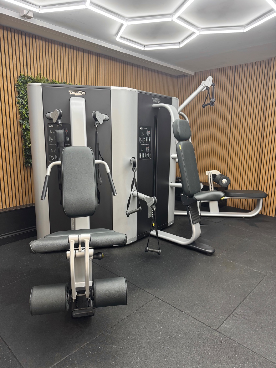 Technogym Plurima (MF30) Wall Core/Leg Extension and Press/Overhead Press and High/Low Pull Silver - Image 2