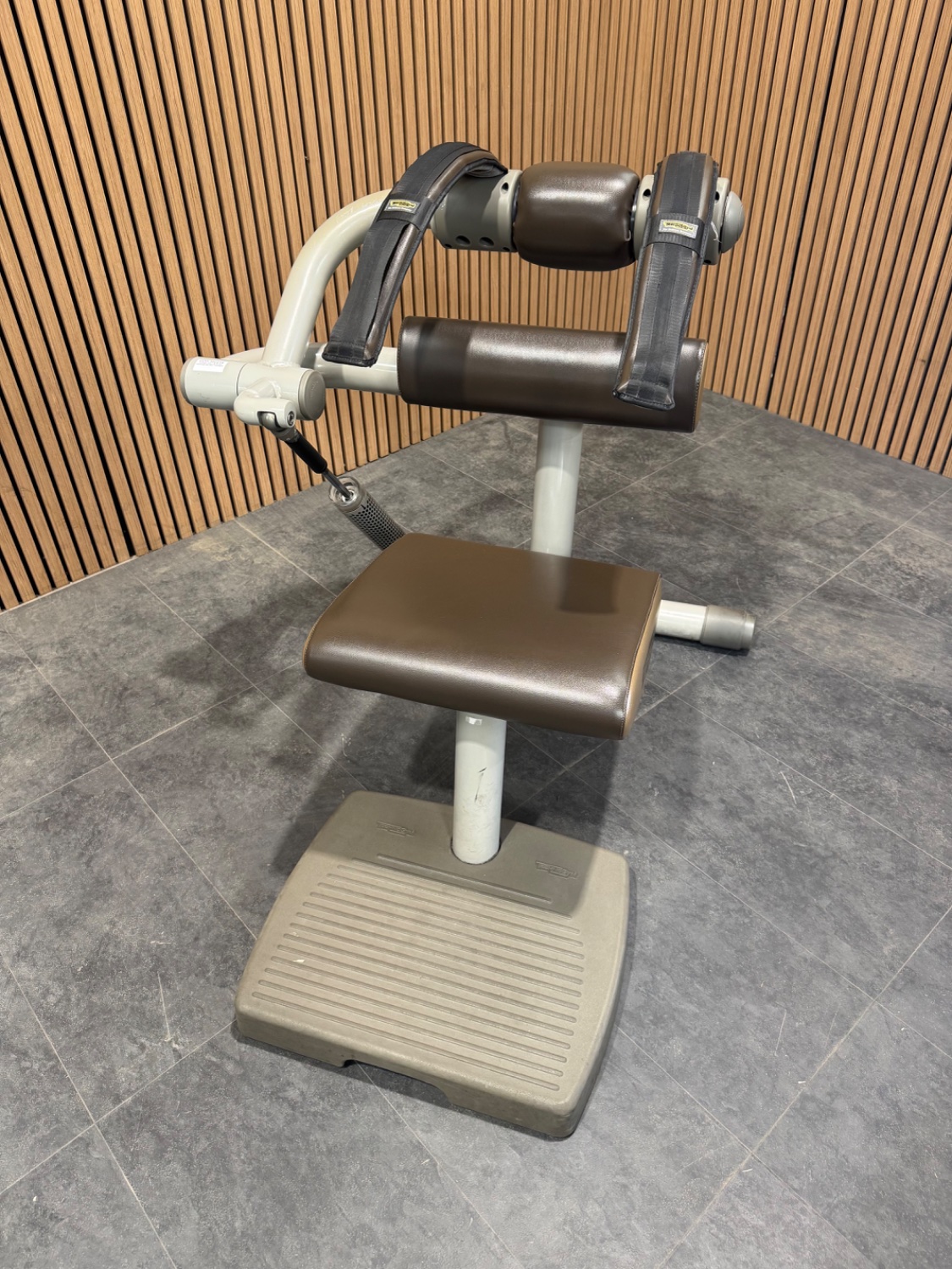 Technogym Easy Line (MC65) Abdominal/Lower Back Champagne - Image 2