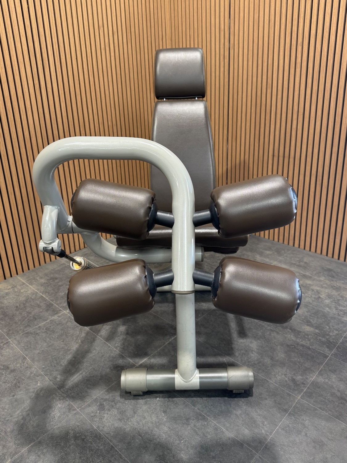 Technogym Easy Line (MC30) Leg Extension/Leg Curl Champagne - Image 2