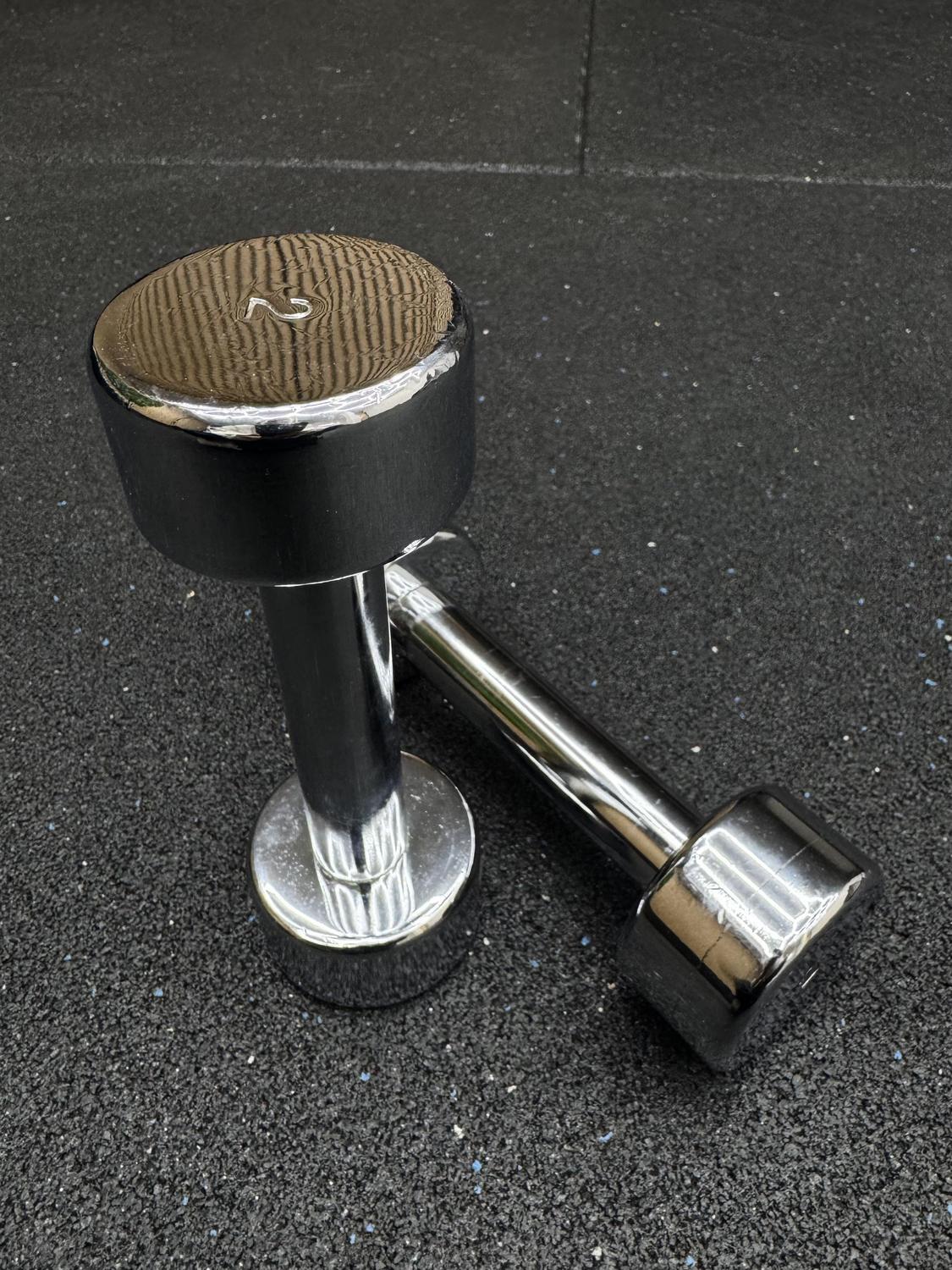 Technogym Chrome Dumbbell 2KG Pair