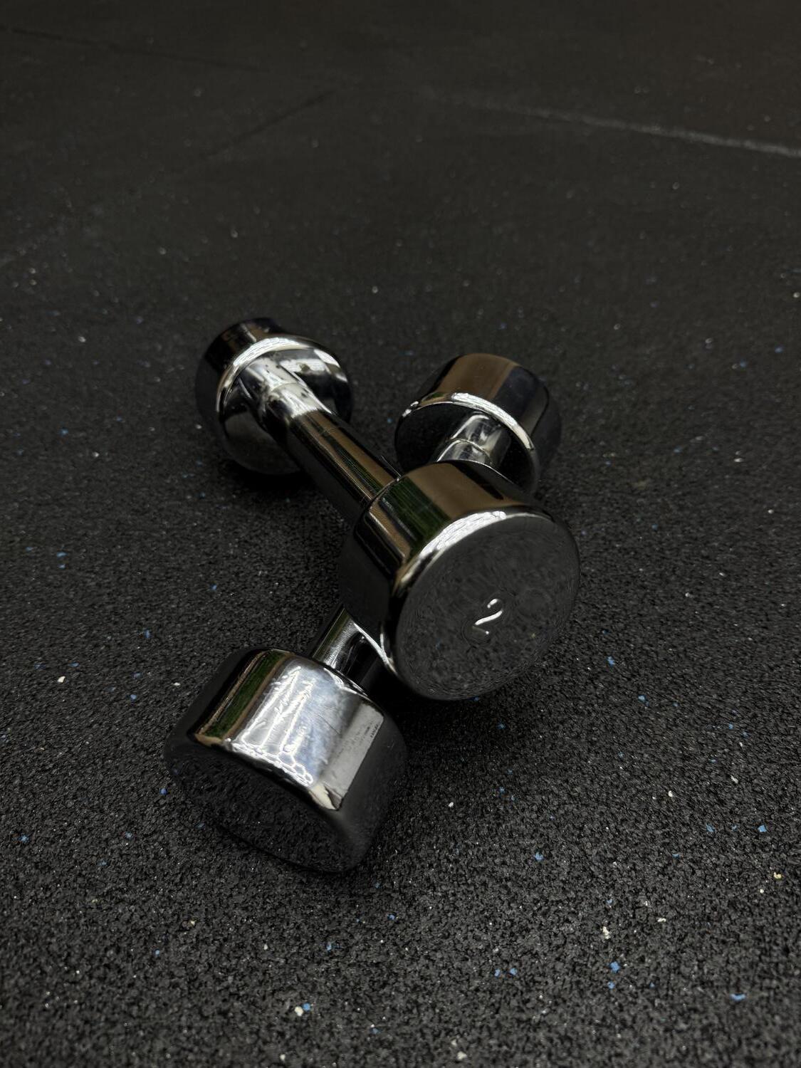 Technogym Chrome Dumbbell 2KG Pair - Image 2