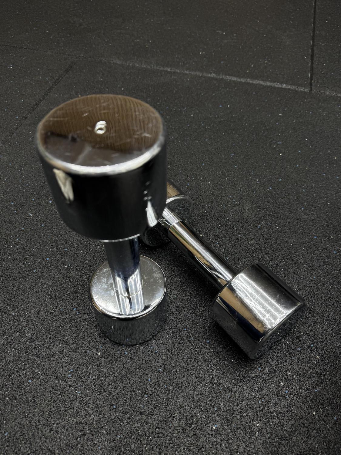Technogym Chrome Dumbbell 6KG Pair