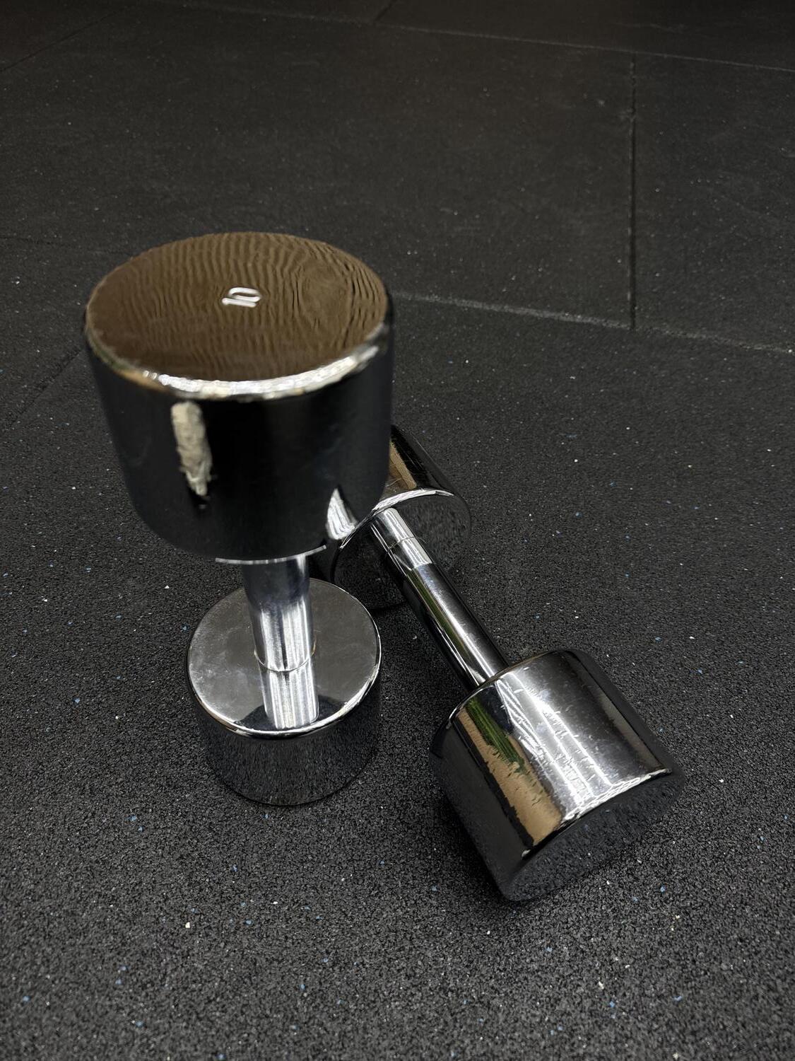 Technogym Chrome Dumbbell 10KG Pair